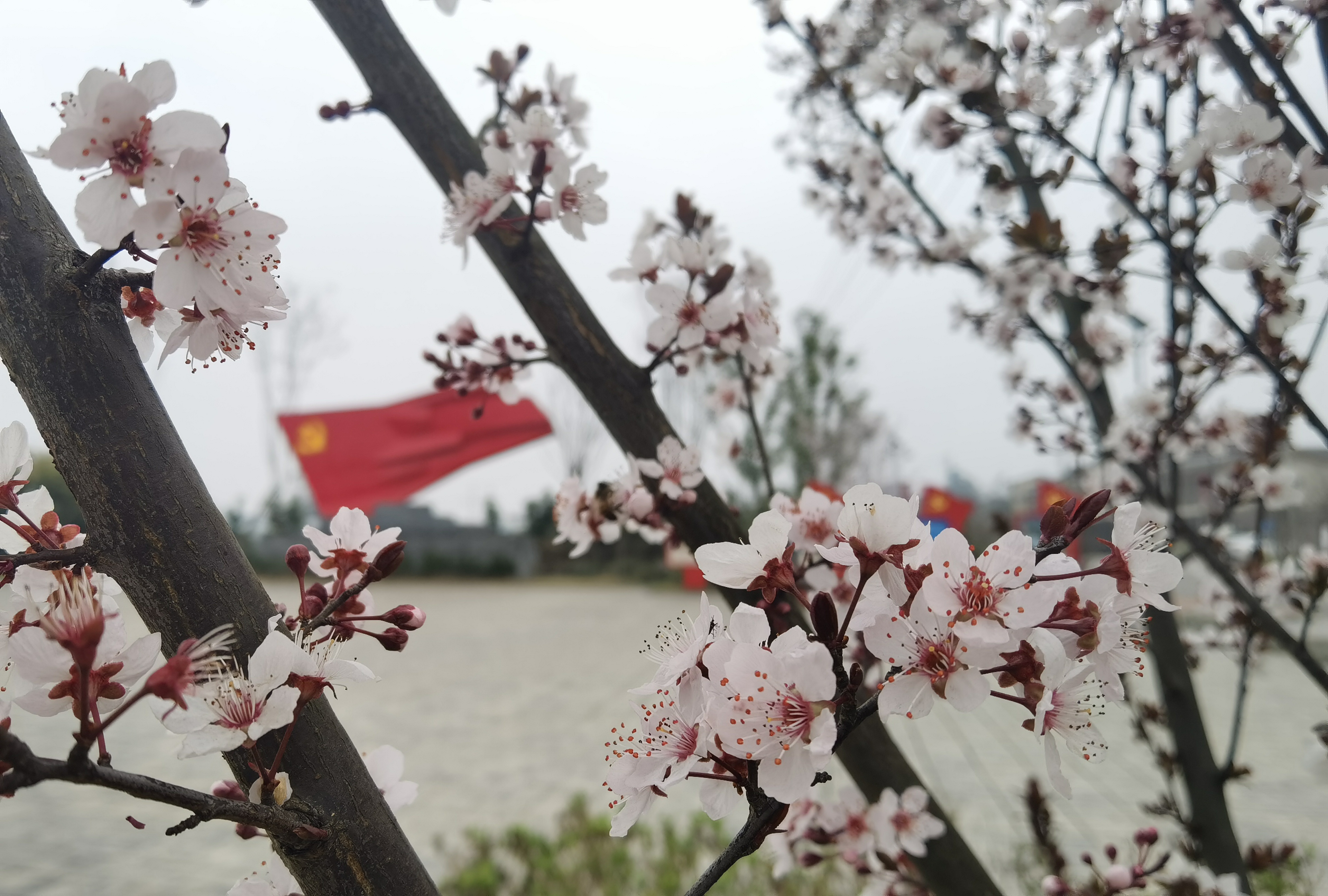 文旅综合开发项目